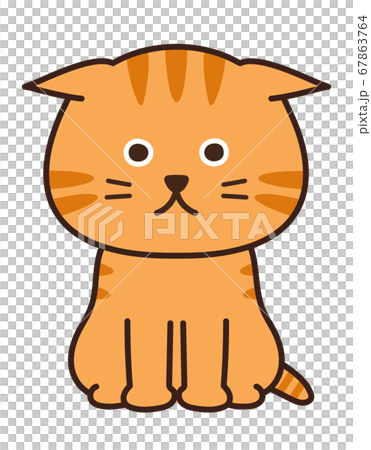 耳を伏せるチャトラ猫　イラスト 67863764