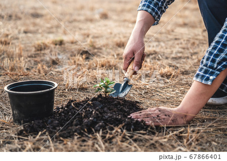 Environment earth day, Hands of man planting the 67866401
