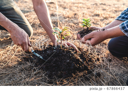 Environment earth day, Hands of two man helping Environment earth day, Hands of two man helping 67866437