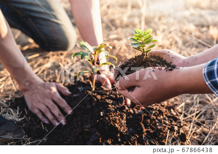 Environment earth day, Hands of two man helping Environment earth day, Hands of two man helping 67866438