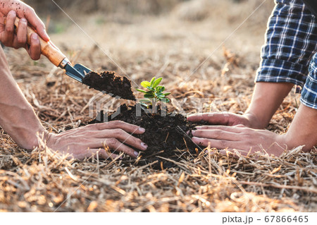 Environment earth day, Hands of two man helping 67866465