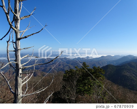 山と青空と一本の木 67870939
