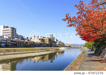 京都・秋の鴨川と紅葉 67872256