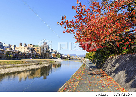 京都・秋の鴨川と紅葉 67872257
