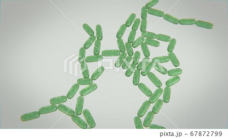 3d render of bacteria and viruses in a petri dish 3d render of bacteria and viruses in a petri dish 67872799