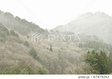 面白山高原の雪景色 面白山高原の雪景色 67879262