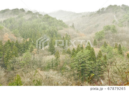 面白山高原の雪景色 67879265