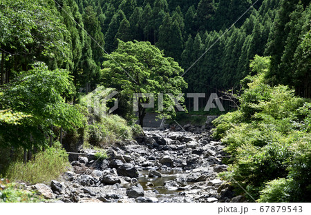京都 清滝川 京都 清滝川 67879543