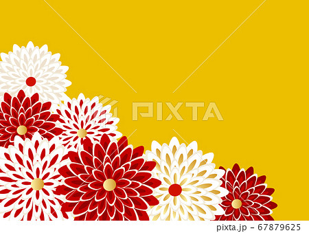 紅白の菊花のかんざしをイメージした背景イラスト 紅白の菊花のかんざしをイメージした背景イラスト 67879625