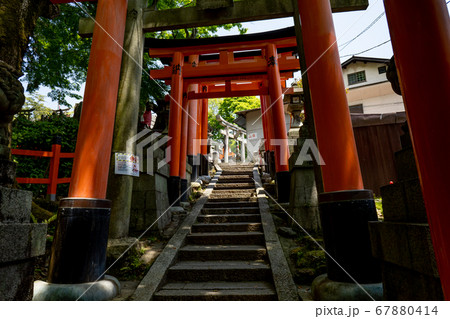 伏見稲荷大社 稲荷山 伏見稲荷大社 稲荷山 67880414