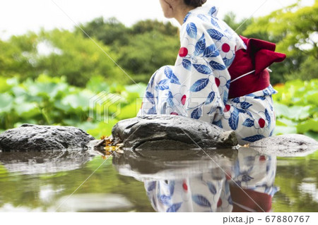 蓮を眺める浴衣美人 蓮を眺める浴衣美人 67880767