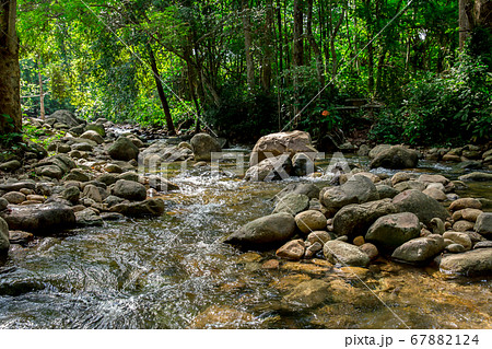 Bulgaria, Forest, River, Stream - Body of Water, Bulgaria, Forest, River, Stream - Body of Water, 67882124