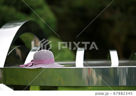 夏 木浦市 公園 67882345