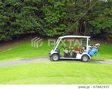 郊外のゴルフ場で野生の鹿に遭遇 67882935