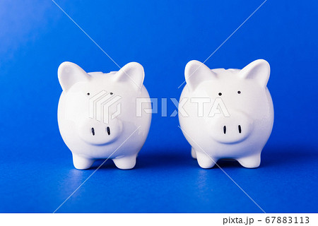 Front two small white fat piggy bank, studio shot Front two small white fat piggy bank, studio shot 67883113