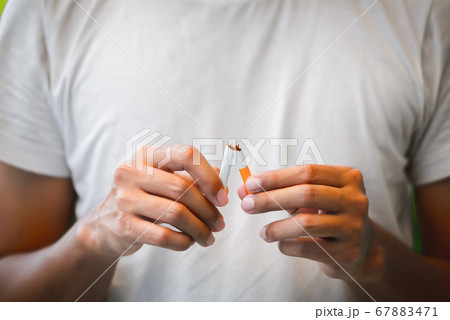 The man use hands breaking down cigarettes The man use hands breaking down cigarettes 67883471