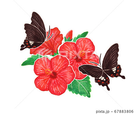 蝶々と花のイラスト素材 6706