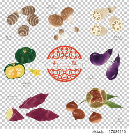 秋の薬膳-1/食材の手描きイラスト 67884230