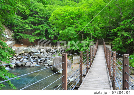 塩原温泉 仙人岩吊橋と清らかな鹿股川と新緑 塩原温泉 仙人岩吊橋と清らかな鹿股川と新緑 67884304