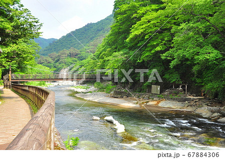 塩原温泉 箒川と山ゆりの吊り橋と湧花庵専用露天風呂「楓の湯」 塩原温泉 箒川と山ゆりの吊り橋と湧花庵専用露天風呂「楓の湯」 67884306