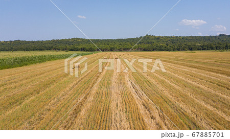 Aerial view: flying over the green cornfield and haystacks Aerial view: flying over the green cornfield and haystacks 67885701