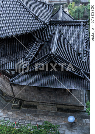 雨に濡れる京都・六角堂 雨に濡れる京都・六角堂 67885800