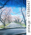 春 桜 空 67886047