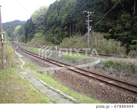 中在家信号場 67886904