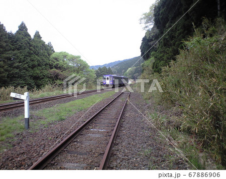 中在家信号場 中在家信号場 67886906