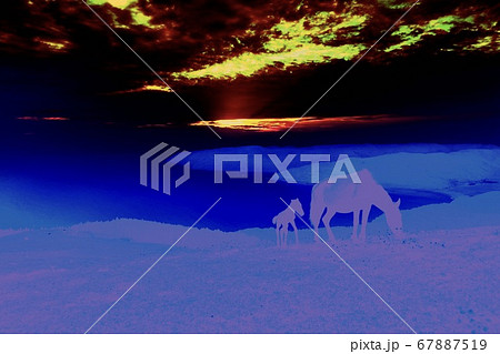 絵のような写真 参 絵のような写真 参 67887519