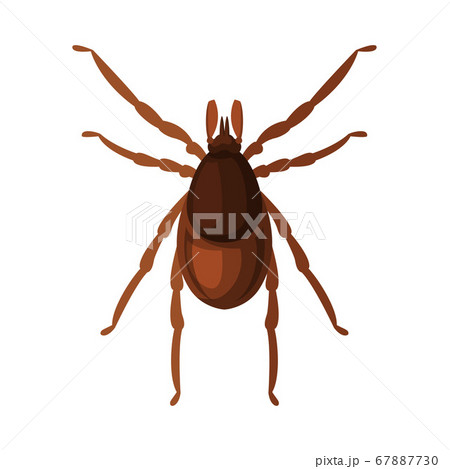 Mite Tick Insect, Pest Control and Extermination Concept Vector Illustration on White Background 67887730