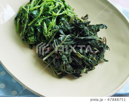 おかず ほうれん草 食べ物 67888751