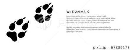 Banner of traces of animal wolf 67889173