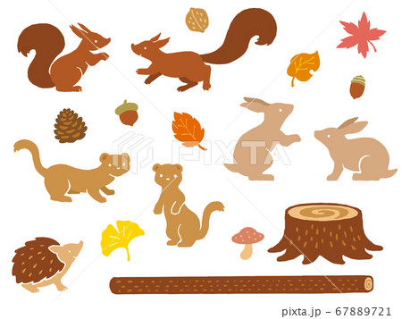 森の小動物の手描きイラストセットのイラスト素材