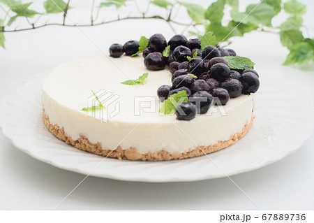 レアチージケーキ 67889736