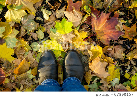 Fall, autumn, leaves, legs and shoes. Conceptual Fall, autumn, leaves, legs and shoes. Conceptual 67890157