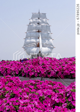 新湊港海王丸公園と海の女王海王丸 67890226