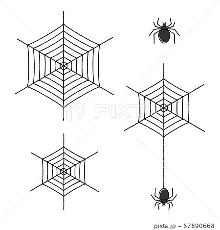 蜘蛛と蜘蛛の巣 手描き風のイラスト素材