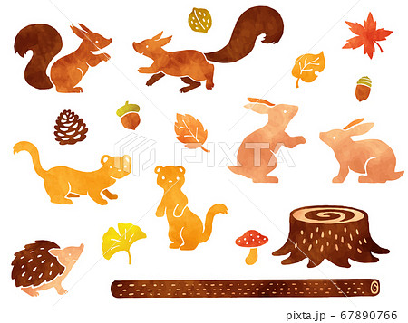 森の小動物と秋の紅葉の水彩風イラストセット 森の小動物と秋の紅葉の水彩風イラストセット 67890766