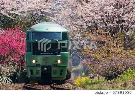 桜のトンネルと特急ゆふいんの森（キハ72系） 67891050