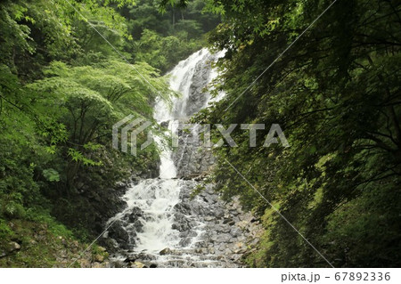 涼を求めて滝巡り伊豆半島 67892336