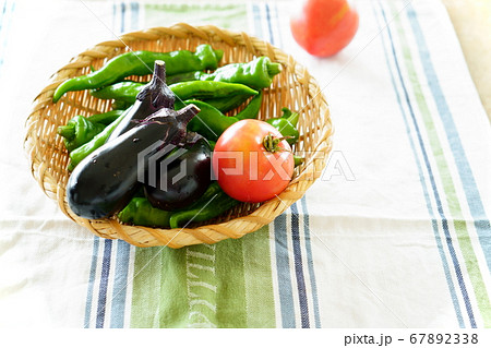 夏の野菜 67892338