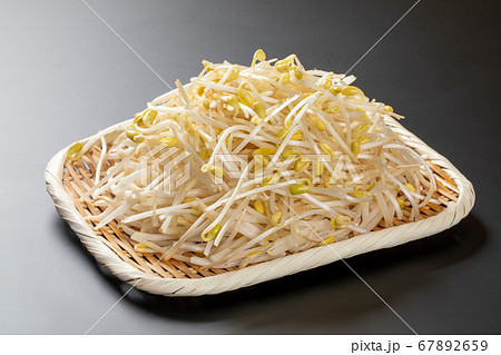 ザルにのせた豆もやし 67892659