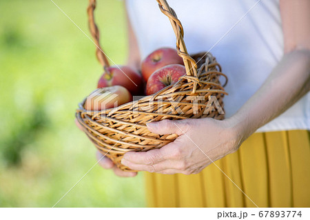 Elderly woman holding a basket of organic apples Elderly woman holding a basket of organic apples 67893774