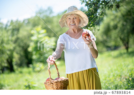 Smiling elderly woman holding red juicy apples 67893814