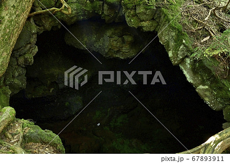 富士山麓青木ヶ原樹海の貞観噴火の溶岩流に開いた神座風穴附眼鏡穴 67893911