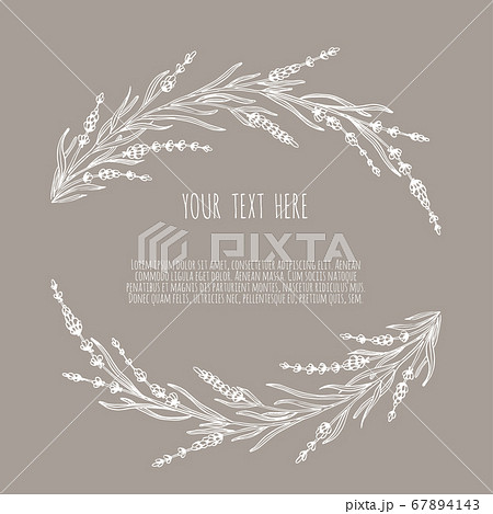 Vector sketch lavender illustration. Beautiful boquet of flowers. Doodle, line art 67894143