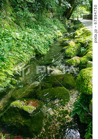 鹿児島県 湧水町 丸池湧水 霧島山麓の清らかな名水池 67894750