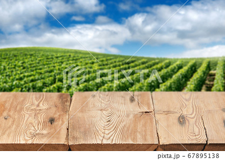 Wooden boards or table top against blurred vineyard under blue sky on background. Use as template for display or montage of your products. Close up 67895138