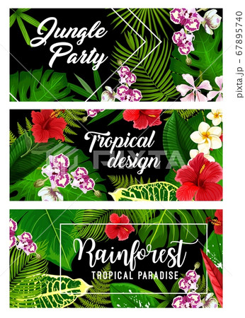 Tropical leaf, palm jungle flowers summer paradise Tropical leaf, palm jungle flowers summer paradise 67895740